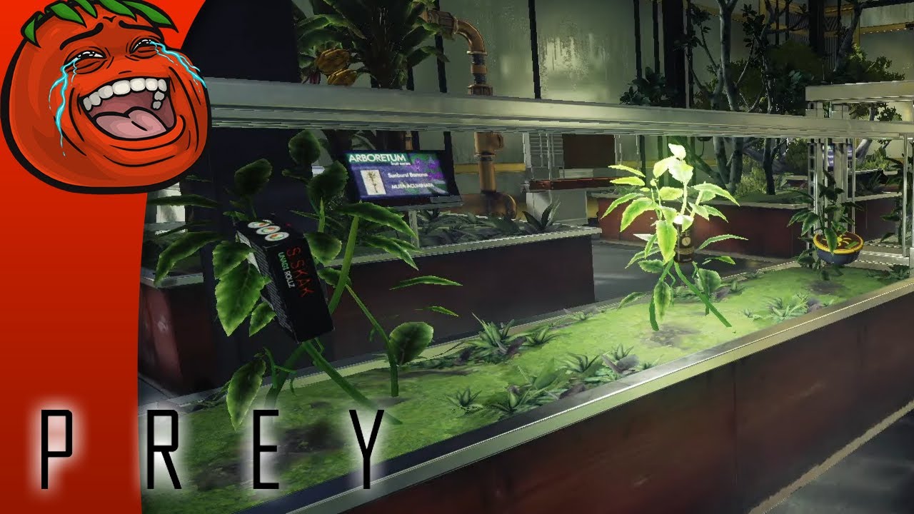 [Tomato] Prey : Unhinged victim of 