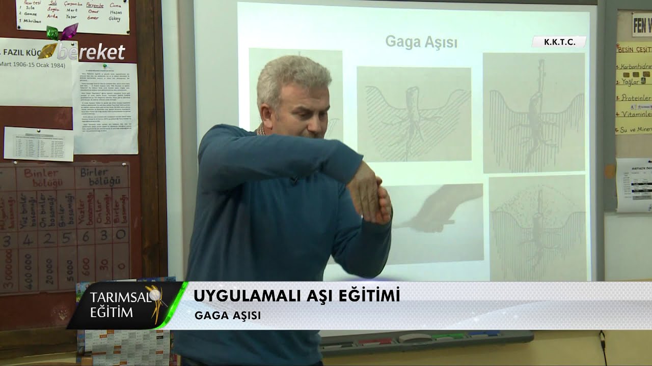 Tarımsal Eğitim - Uygulamalı Aşı Eğitimi - Meyve Ağaçlarında Aşı Çeşitleri ve Yapılışı