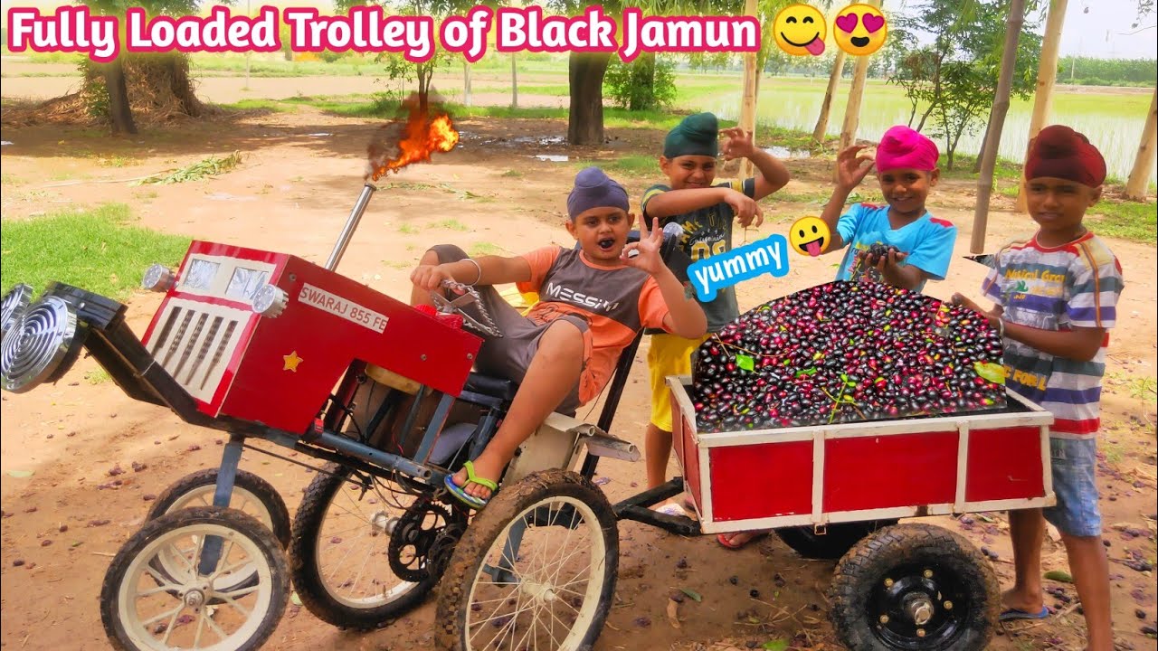 Homemade Trolley fully loaded with Black jamun 🫐😋| Mini Tractor Homemade |