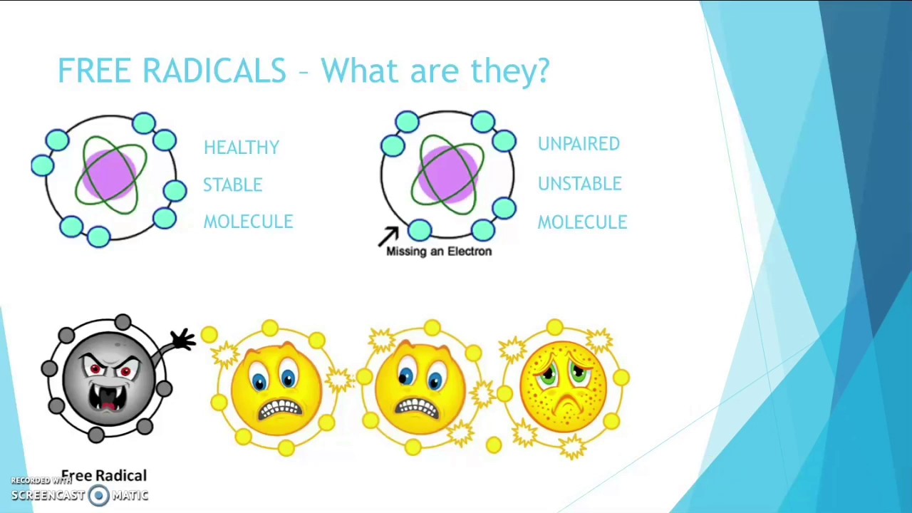 What is Oxidative Stress, Free Radicals & Antioxidants | Katie Rose