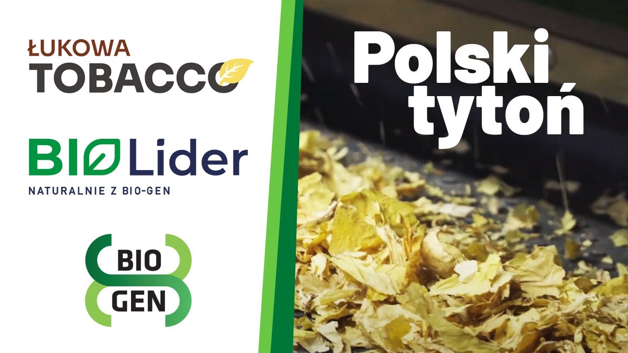 Polski tytoń i polskie preparaty - z wizytą w Łukowa Tobacco