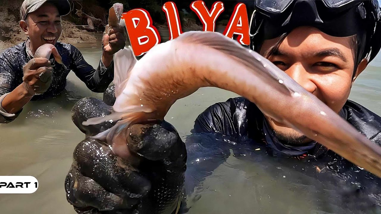 P1-Pandudukot ng Biya - EP1064