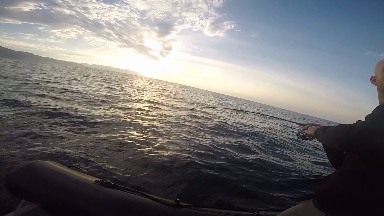 Zenaq snipe76x TBlure 7cm