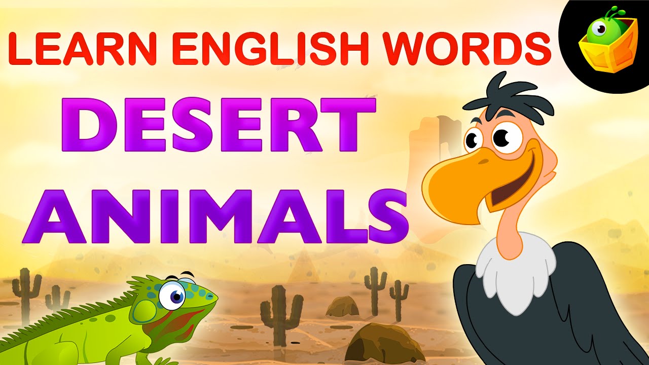 Desert Animals | Pre School | Learn English Words (Spelling) Video For Kids and Toddlers