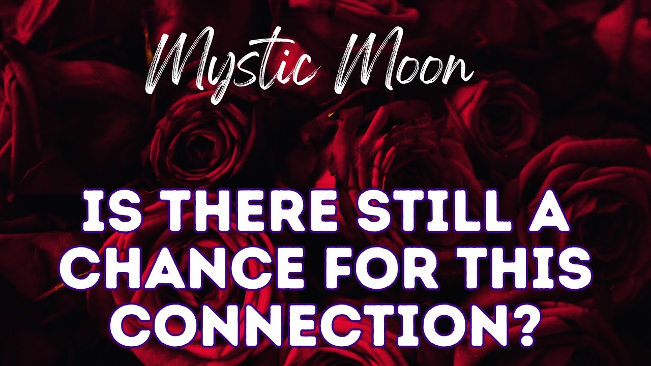 IS THERE STILL A CHANCE FOR THIS CONNECTION? Your LOST LOVE (Timeless Messages)