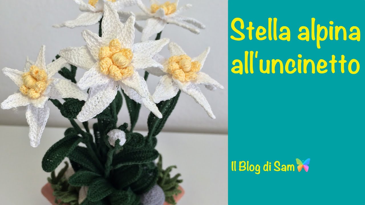 Spiegazione della Stella Alpina all'uncinetto