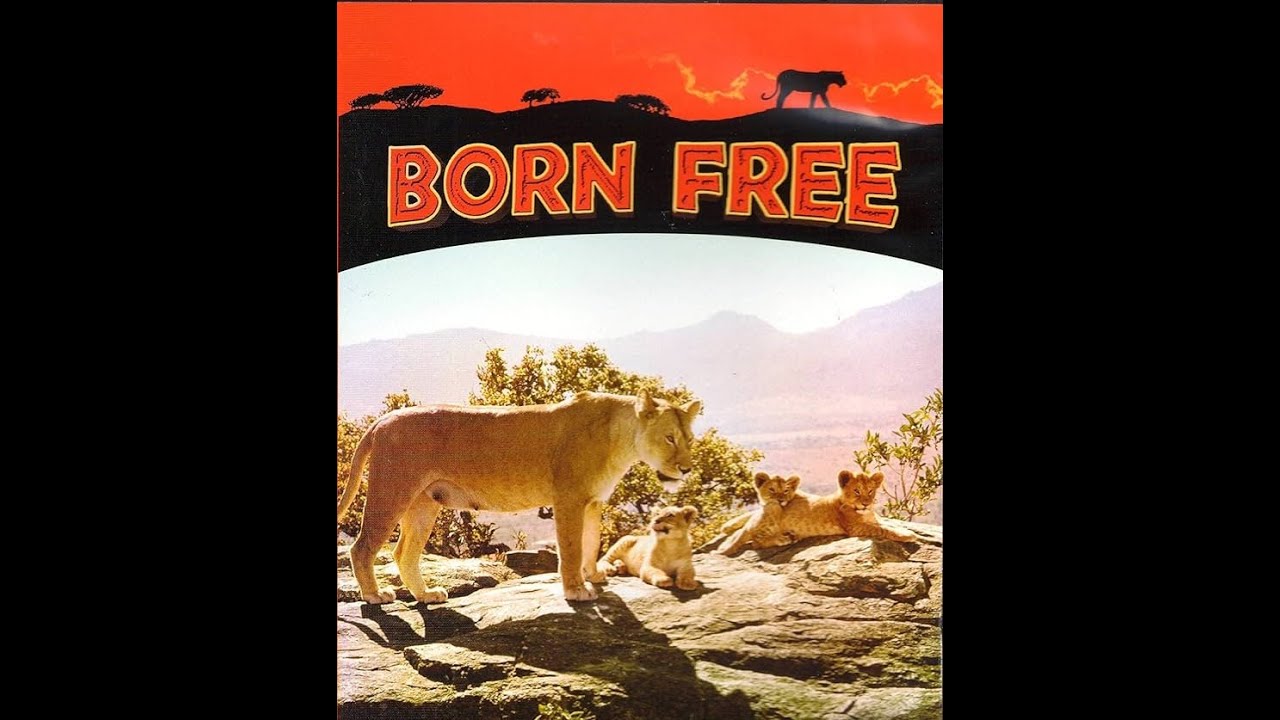 BORN FREE (nata libera) - (Giorgio Ferrari sax)