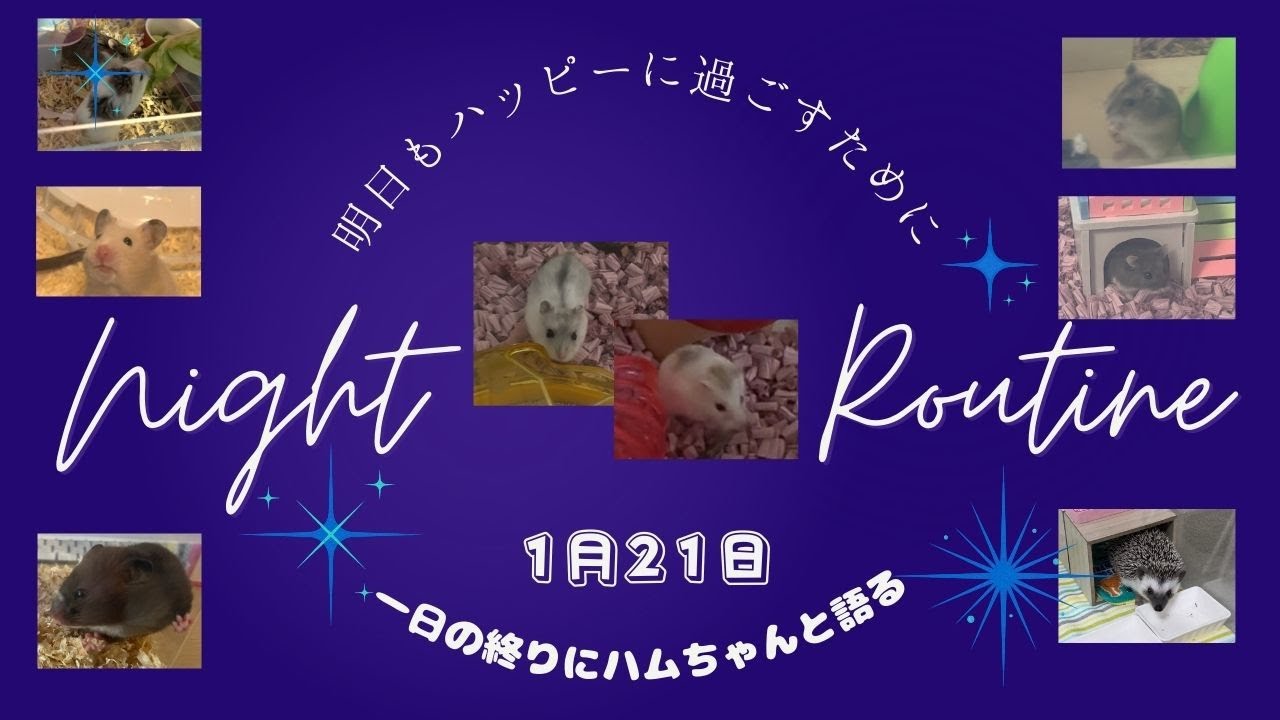 １日の終りにハムちゃんと語る〜2026年1月21日