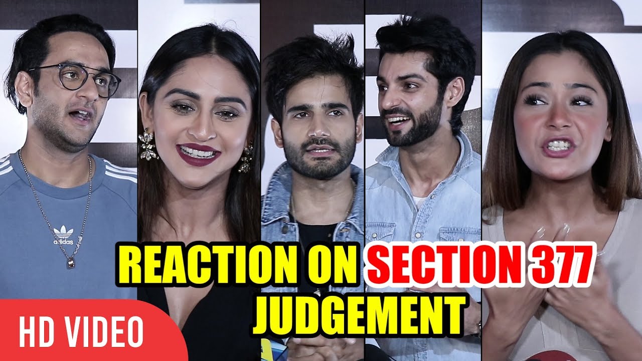 Television Celebrities Reaction on Section 377 Judgement | Krystle D'Souza, Vikas Gupta, Sara Khan