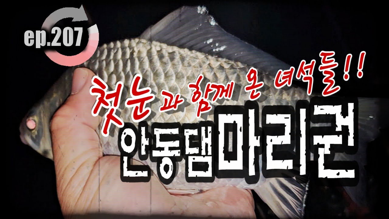 [ep.207] 눈내리는 안동댐, 징글징글한 입질들!! 안동댐 마리권 #안동댐 #안동호 #댐낚시