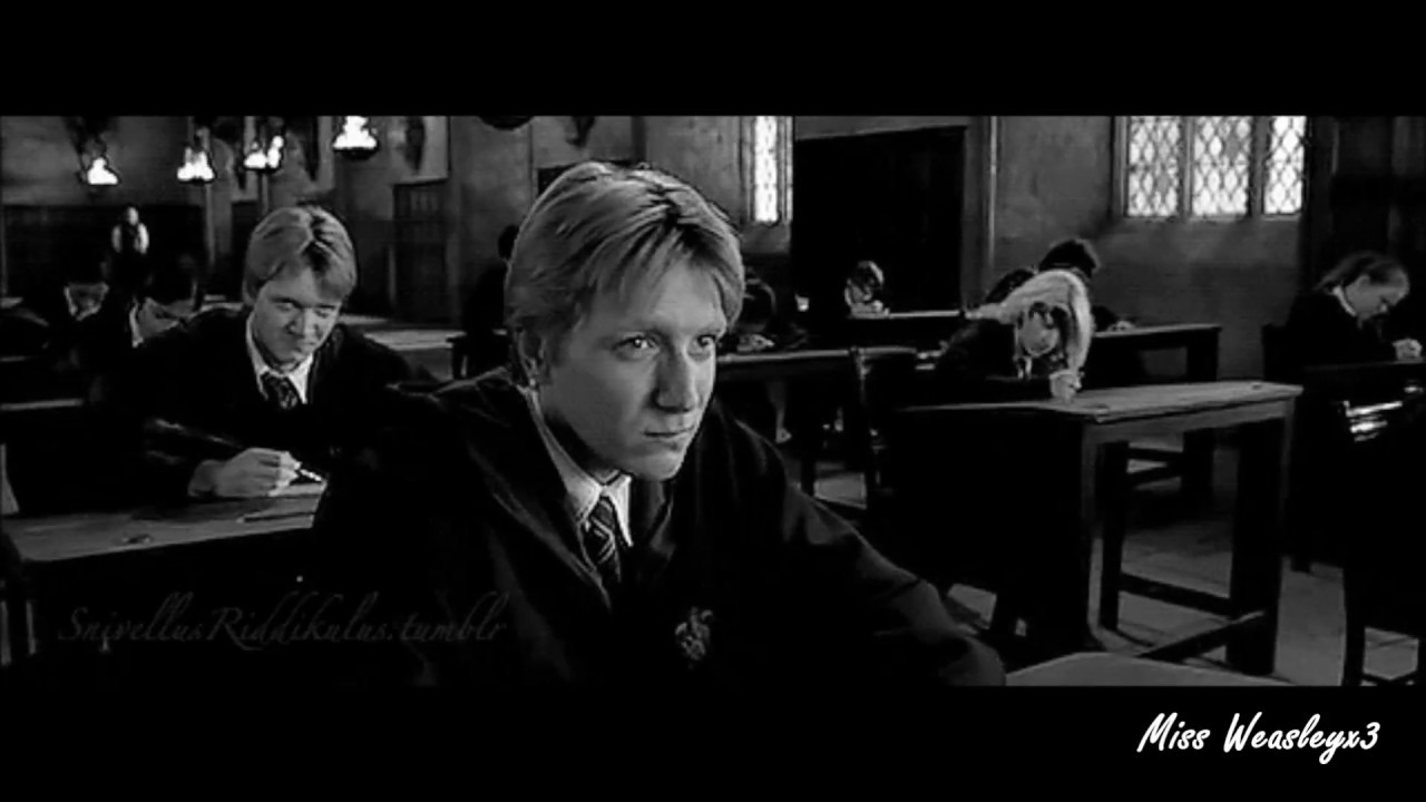 Weasley Twins ll Legendary