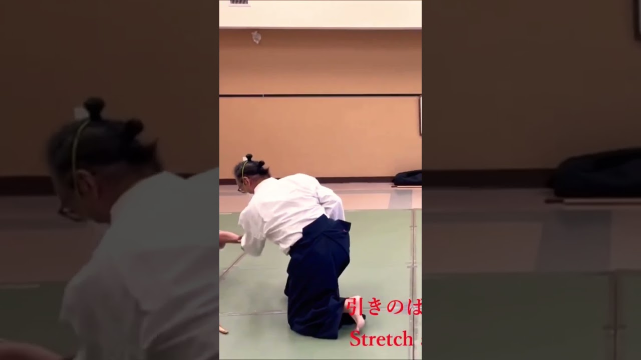 WOW!合氣 | Foundation Of Aiki : 抜力平穏 | Knife Point Disarm 短刀取り