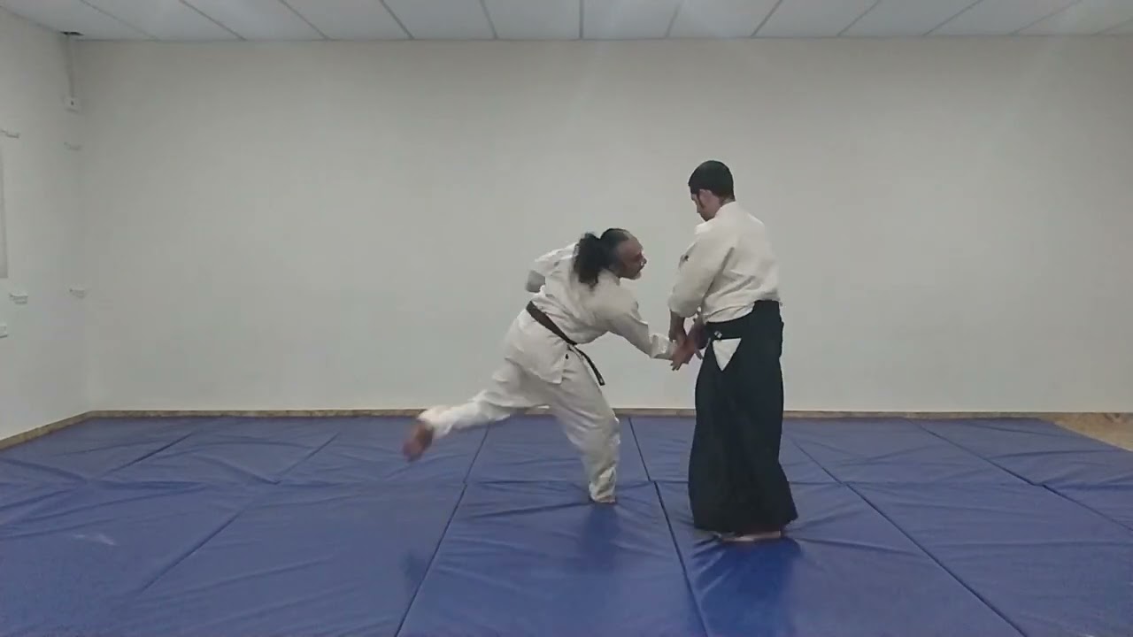 Morote Dori -  Kote gaeshi