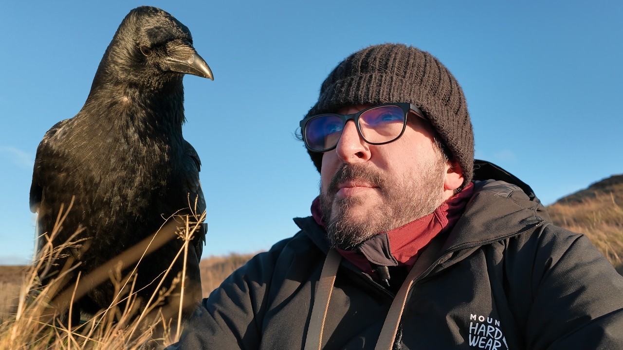 Landscape Photography Except You're Being Attacked by Crows