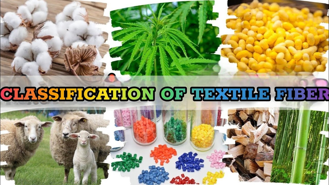 Types of Fiber in Textile | Most Popular Types of Textile Fiber | Most Used Textile Fiber 