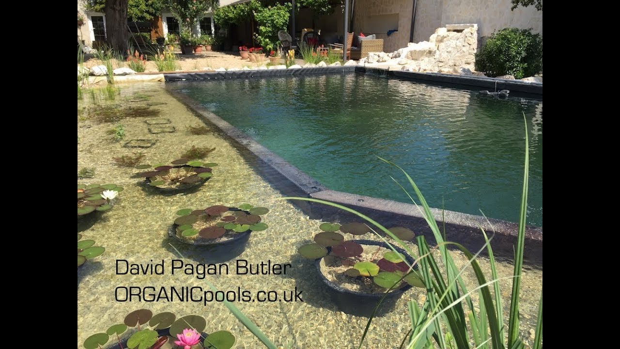 How to build an Natural:Organic Pool in France