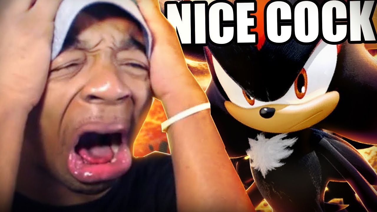 4 PEOPLE SUFFER THROUGH SHADOW THE HEDGEHOG