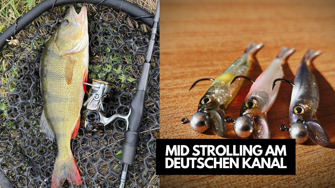 Mid Strolling am Kanal - Tipps und Tricks 🎣