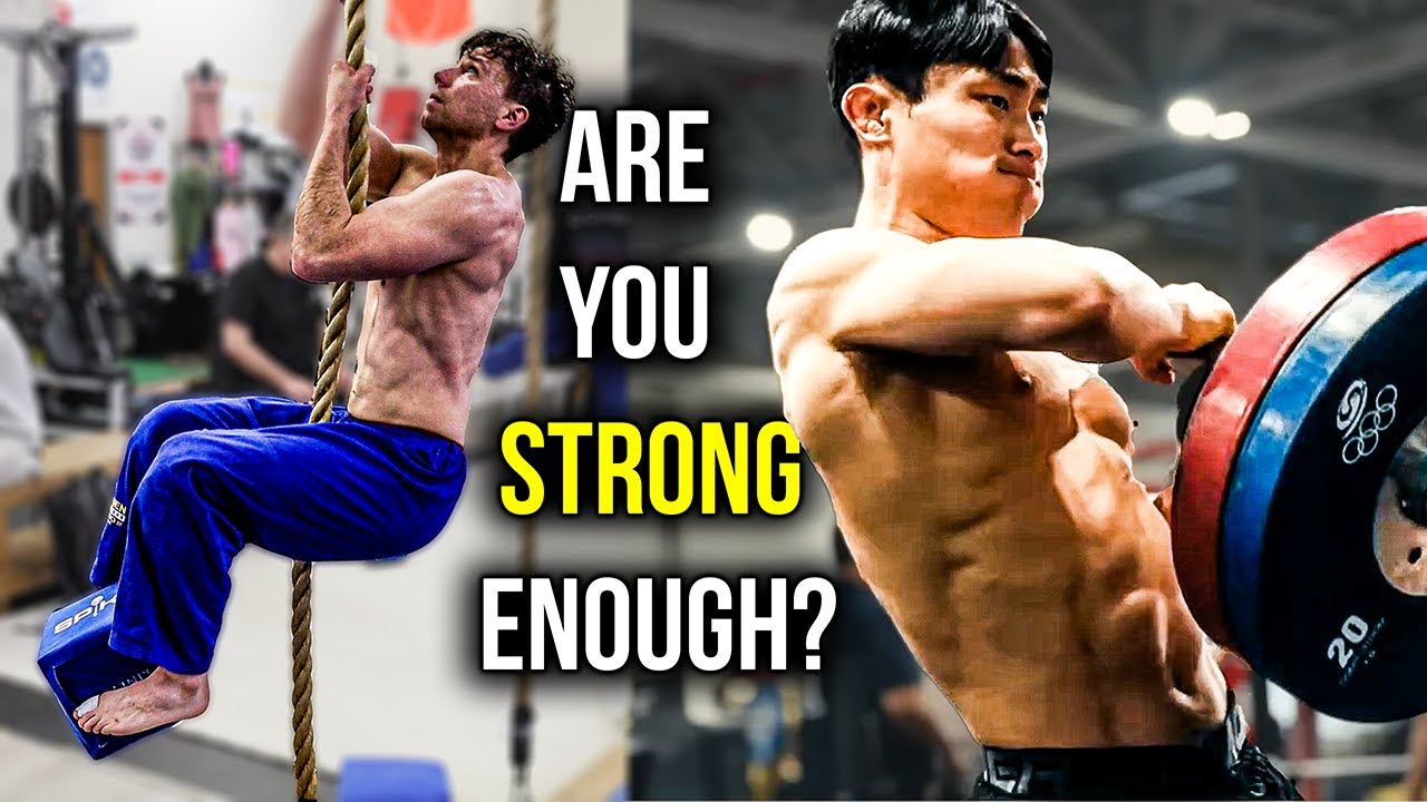 Strength Standards for JUDO | How Strong To Be Advanced?