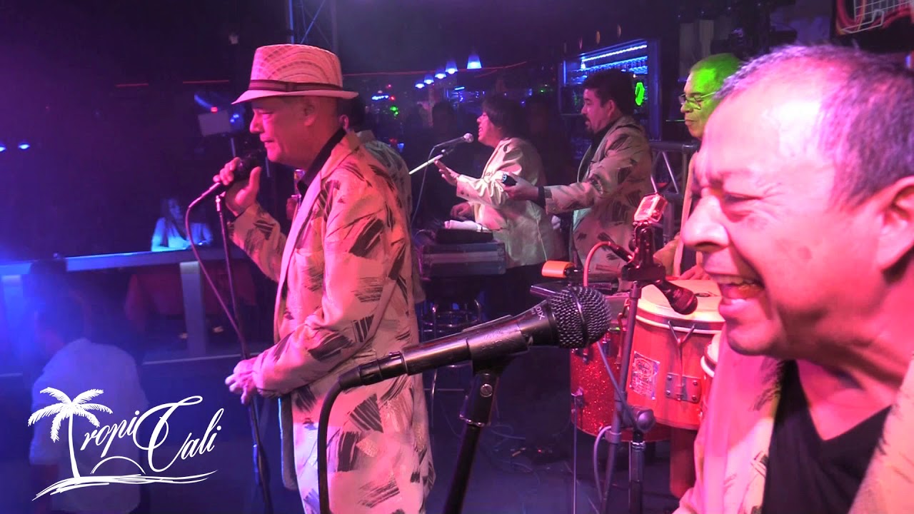 Felicidad-Los Socios Del Ritmo en vivo desde ViVe Night Club 2017
