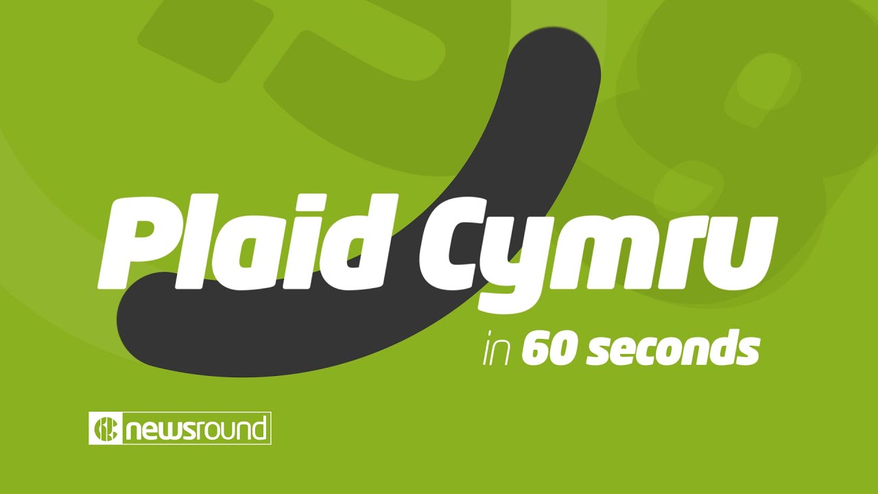 General Election 2019: Plaid Cymru in 60 seconds