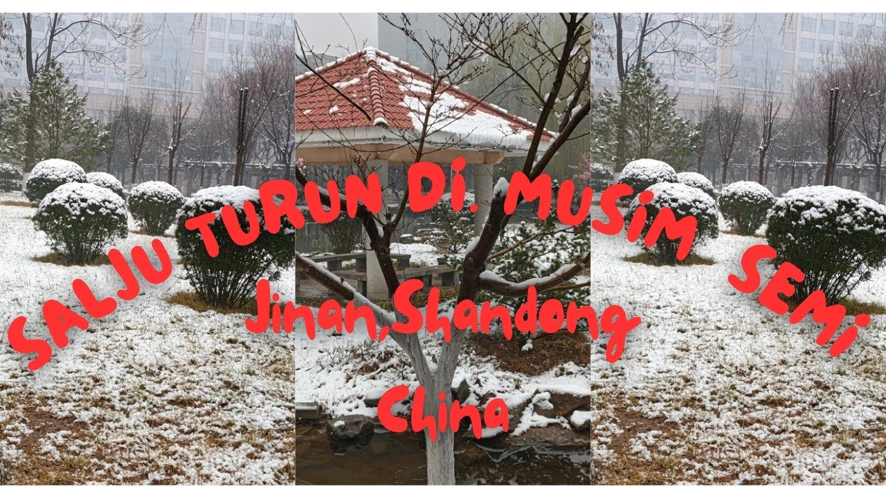 Salju turun di musim semi di kota Jinan, China 