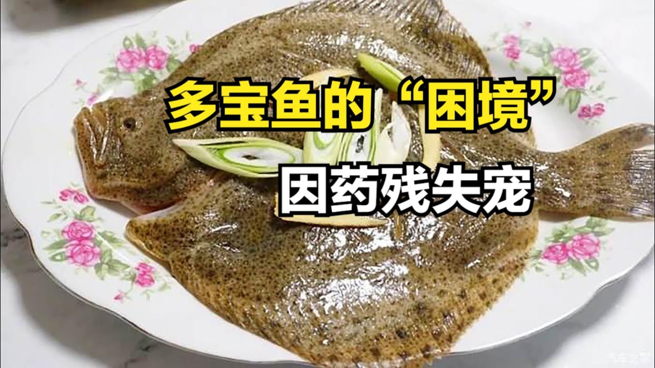 多宝鱼的“困境”，餐桌上流行30年，如今为何无人问津？
