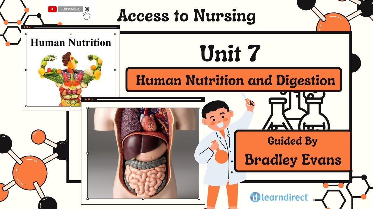 UNIT 7 - Human Digestion & Nutrition