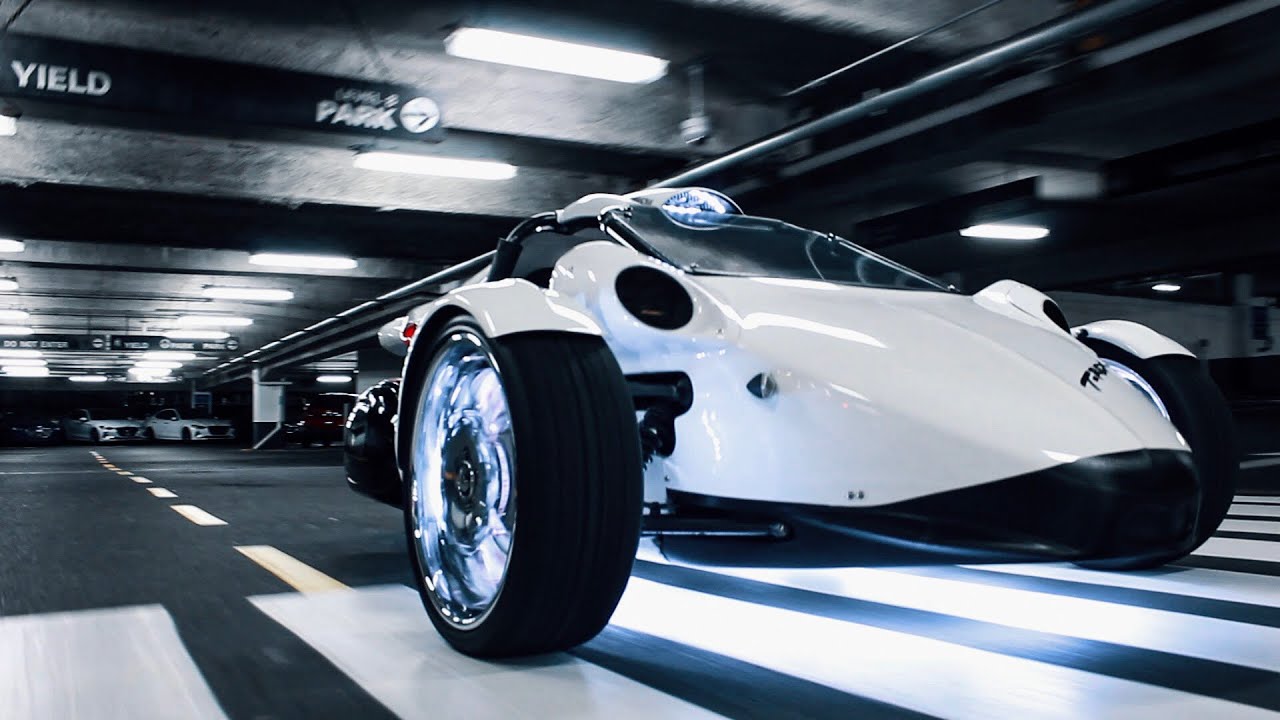 Campagna T-rex (Showtime 203)