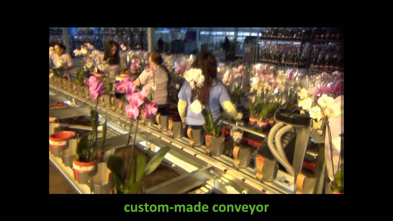 EOS sleeving machine for orchids