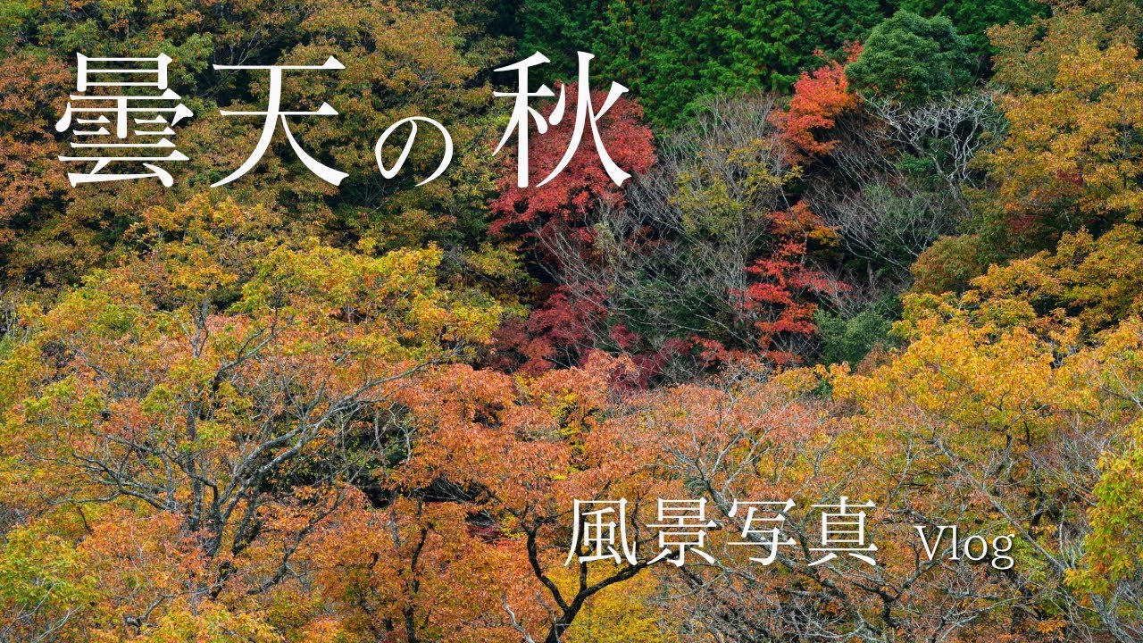 【風景写真】 少し遅い阿蘇の秋 – 曇りの日でも紅葉は美しい | Nikon Z