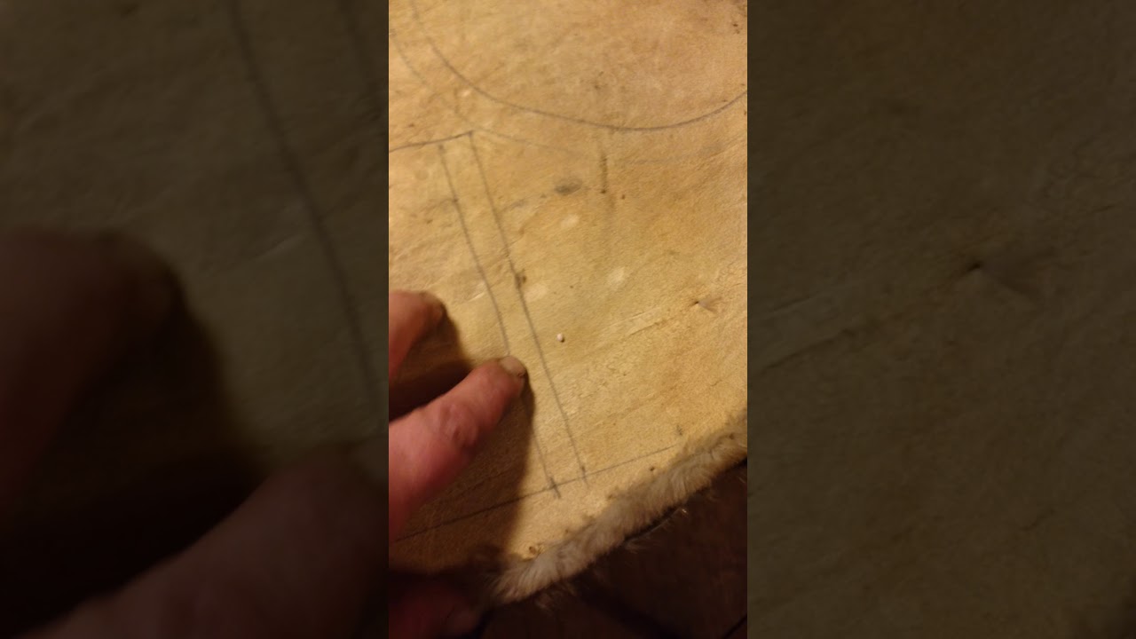 How to make a Beaver fur hat part 1