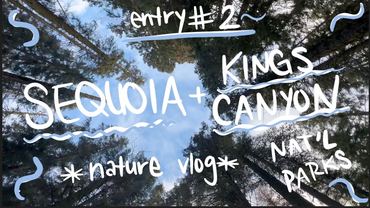 entry 2. sequoia and kings canyon trip, snow, and deer sighting!
