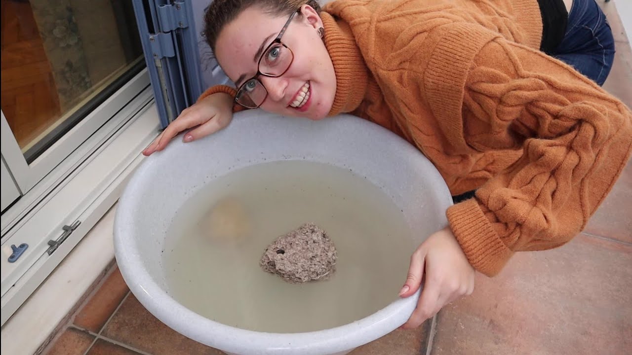 Lets talk about Pumice - A Floating Igneous Rock?!