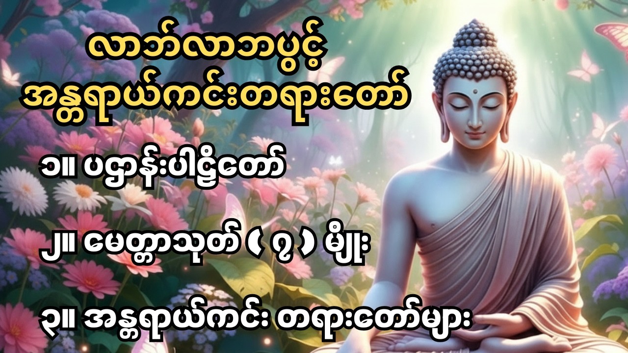 ပဌာန်းပါဠိတော် မေတ္တာသုတ် ( ၇ ) မျိုး အန္တရာယ်ကင်း #တရားတော်များ #တရားတော် #ပဋ္ဌာန်းနှင့်ပရိတ်ကြီး