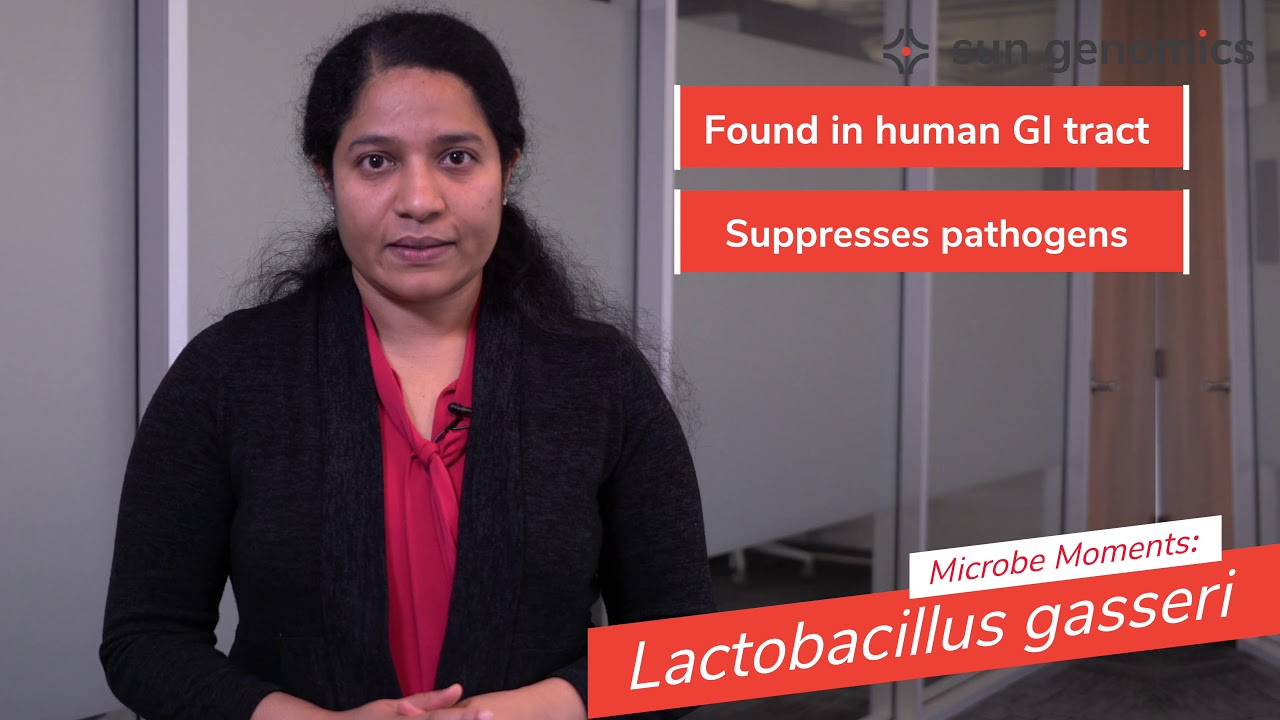 Microbe Moments: Lactobacillus gasseri | Sun Genomics