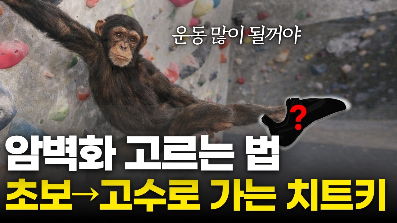 이거 바꾸면 클라이밍 고수되는데 왜 안해요? 답답해 증말