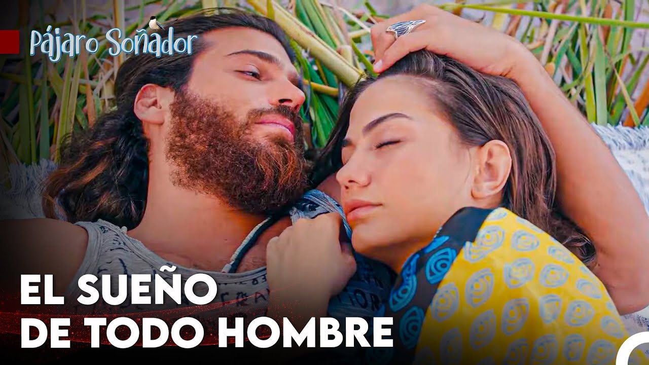 Vacaciones Llenas De Amor Y Paz - Pájaro Soñador