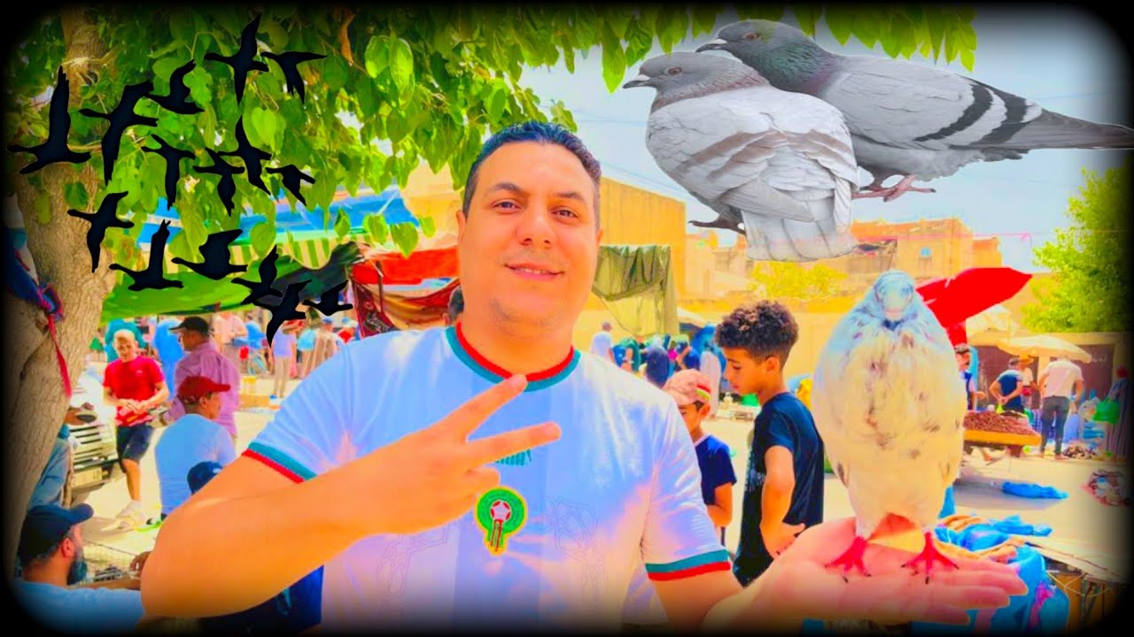 سوق الحمام🕊️🪽 باب جديد بمدينة 🇲🇦مكناس فرجه ممتعه