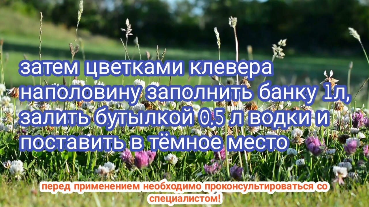 при атеросклерозе//trattament għall aterosklerożi