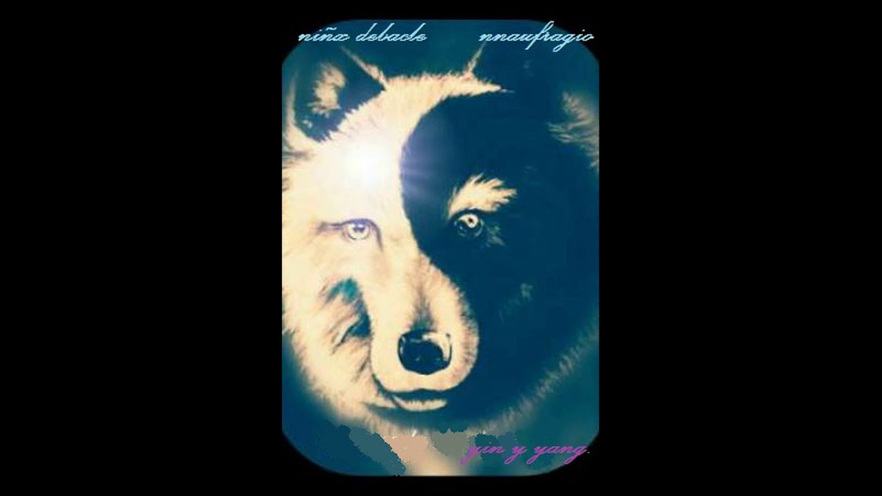 MINI SPLIT / Niñx debacle & Naufragio - yin y yang