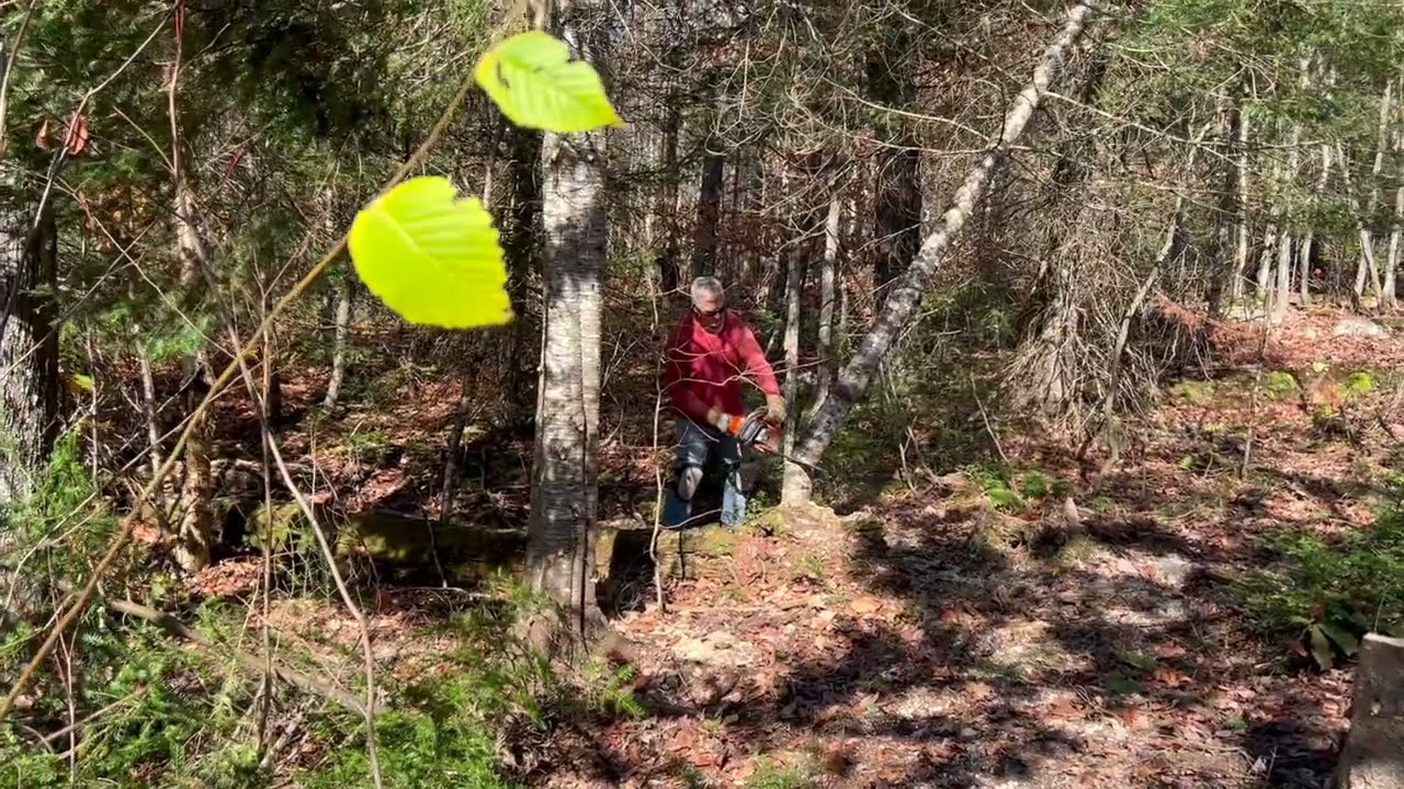 2025 Fall clean up trip