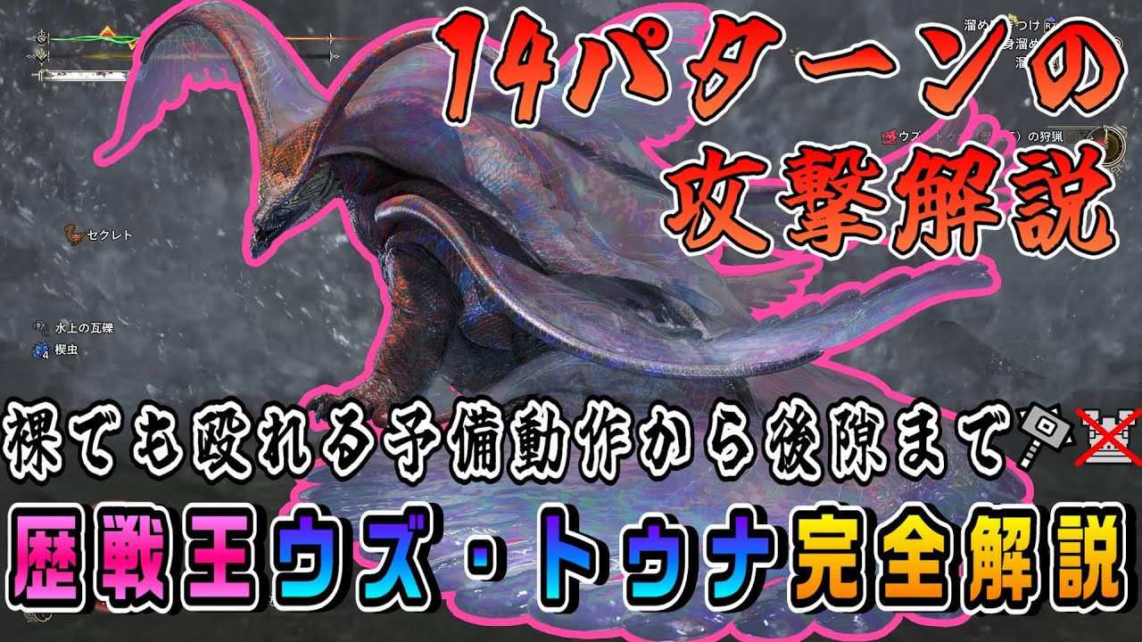 【解説】苦手な人に向けた、裸でもできる歴戦王ウズ・トゥナの安全な殴り方完全解説【MHwilds】