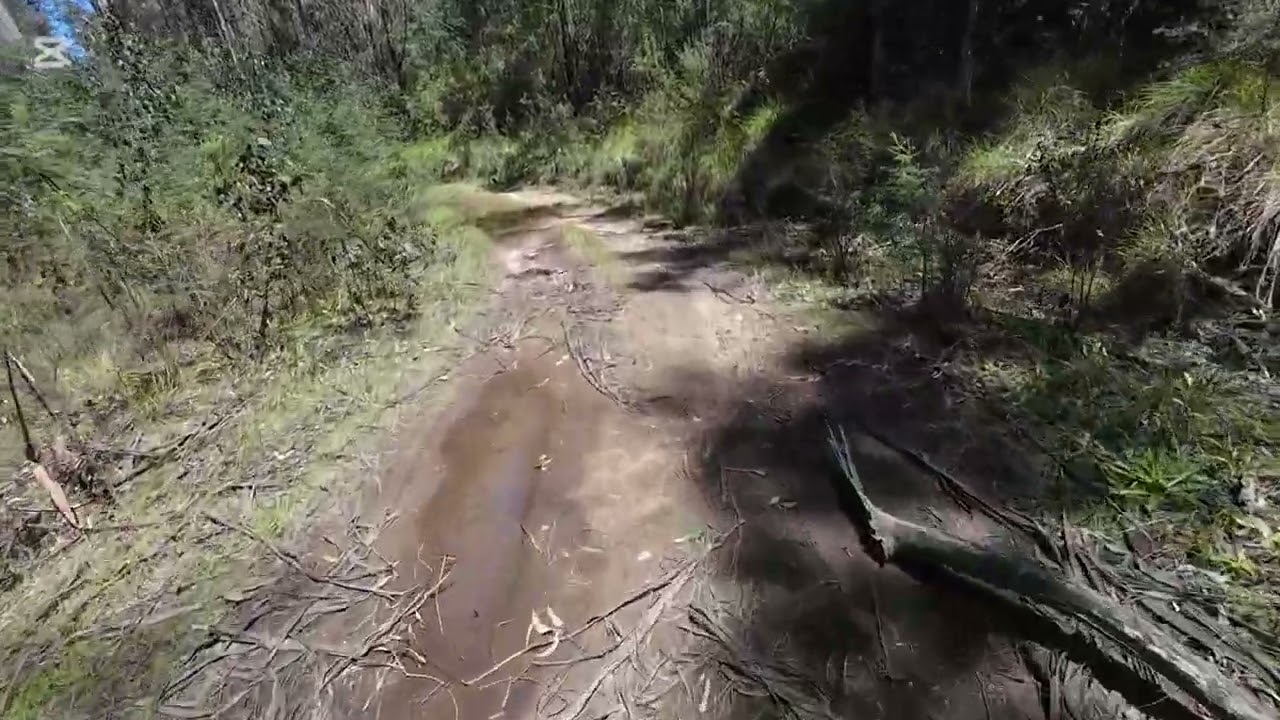 Exploring tracks around Marysville