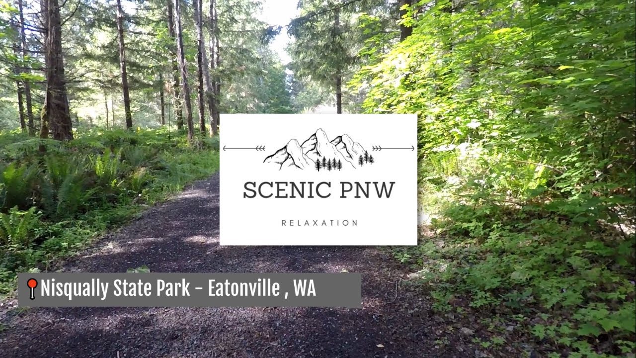 Hiking Nisqually State Park - Calming walk through the forest