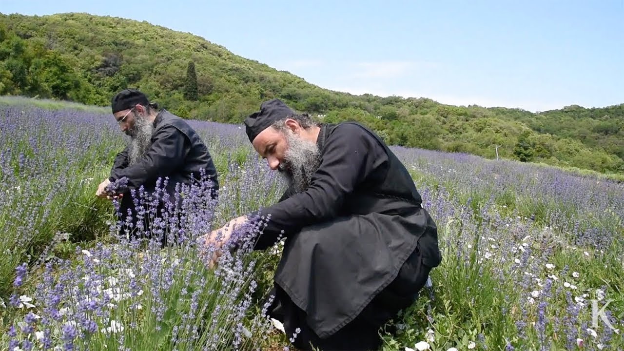 Made in Άγιον Όρος | Η ΚΑΘΗΜΕΡΙΝΗ