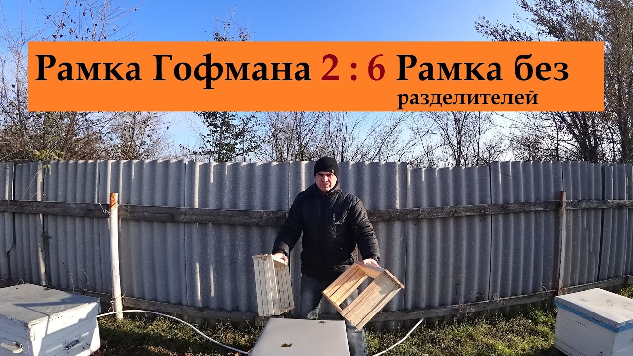 6 минусов рамки Гофмана в сравнении с простой рамкой на пасеке