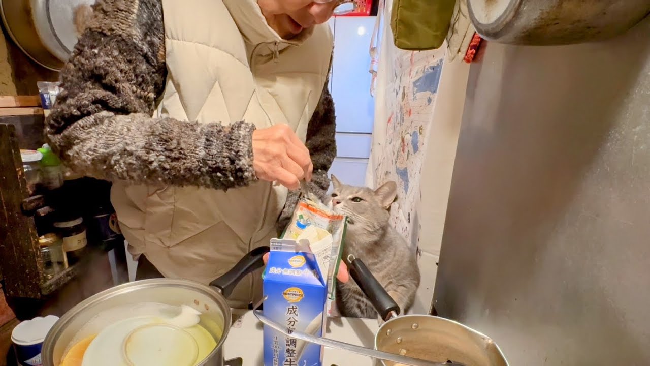 おばあちゃんのお昼ごはんに興味津々で.. 写されていることに気がつかず一生懸命に覗き込み.. 料理の進行を気にしながら先に食べ始め.. 先にごちそうさまする猫・・・