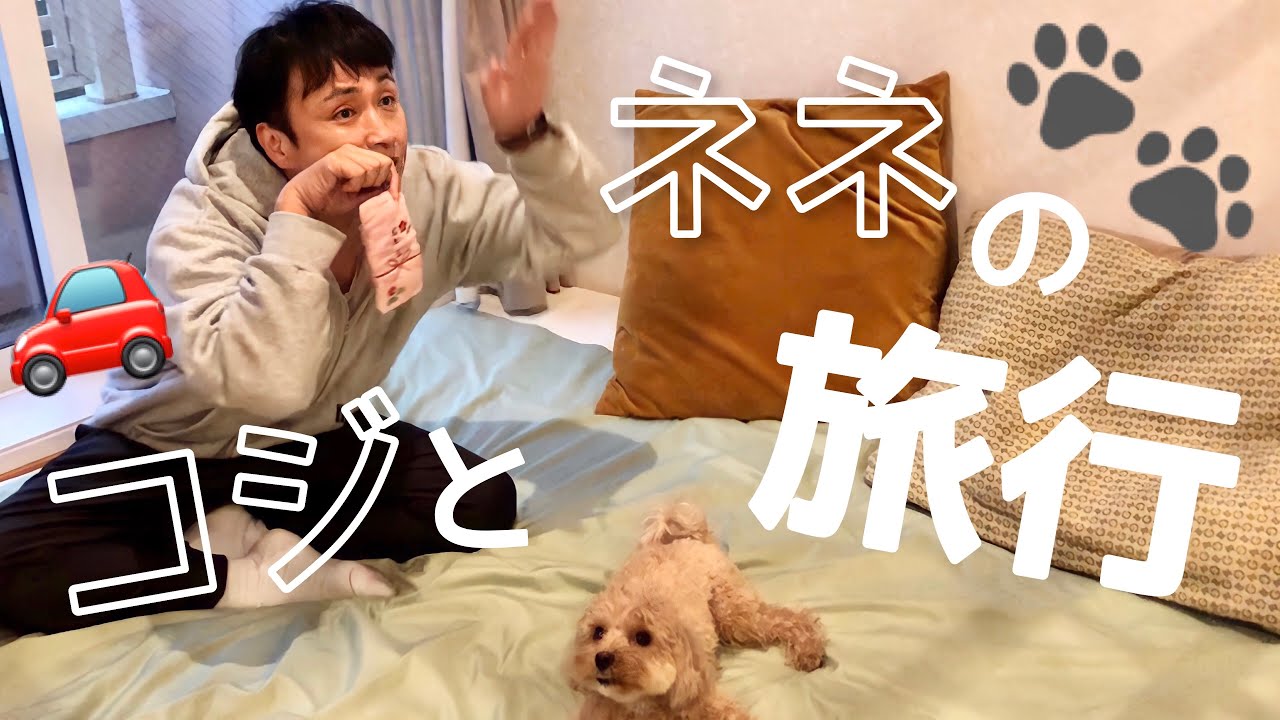 児嶋夫婦と愛犬ネネの楽しい旅