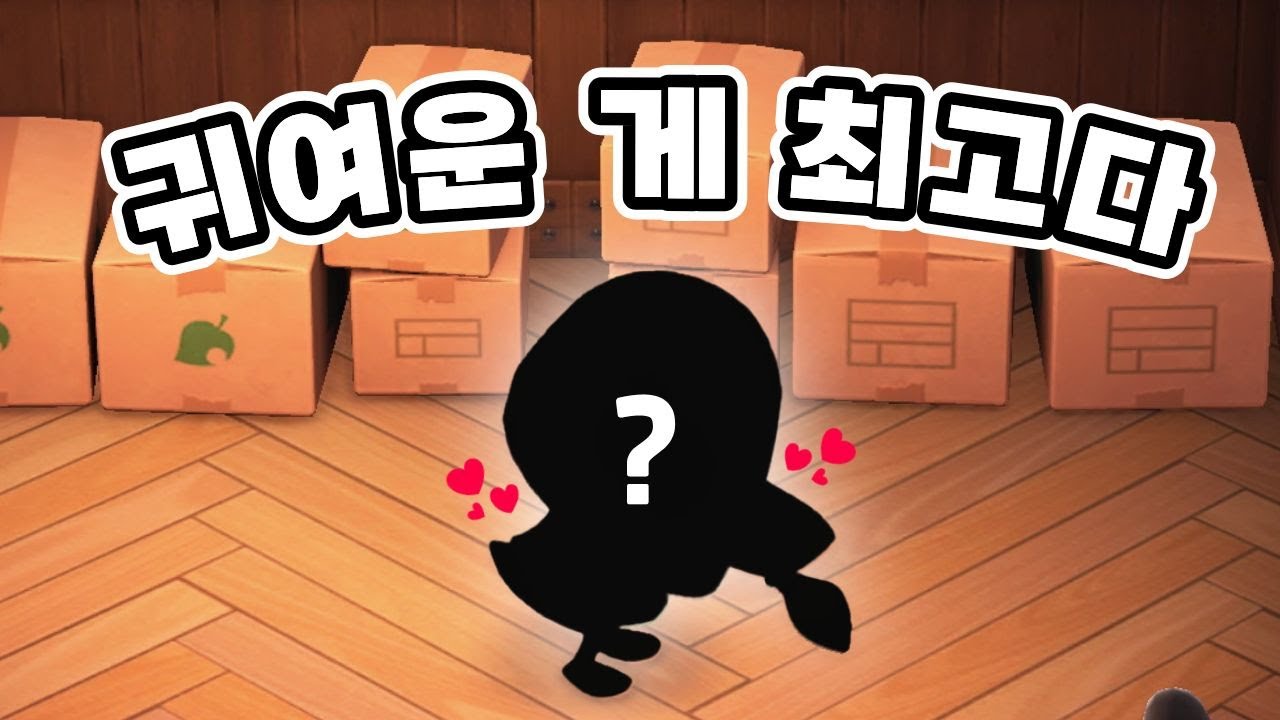 드디어 위시를 데려왔습니다 | 모동숲